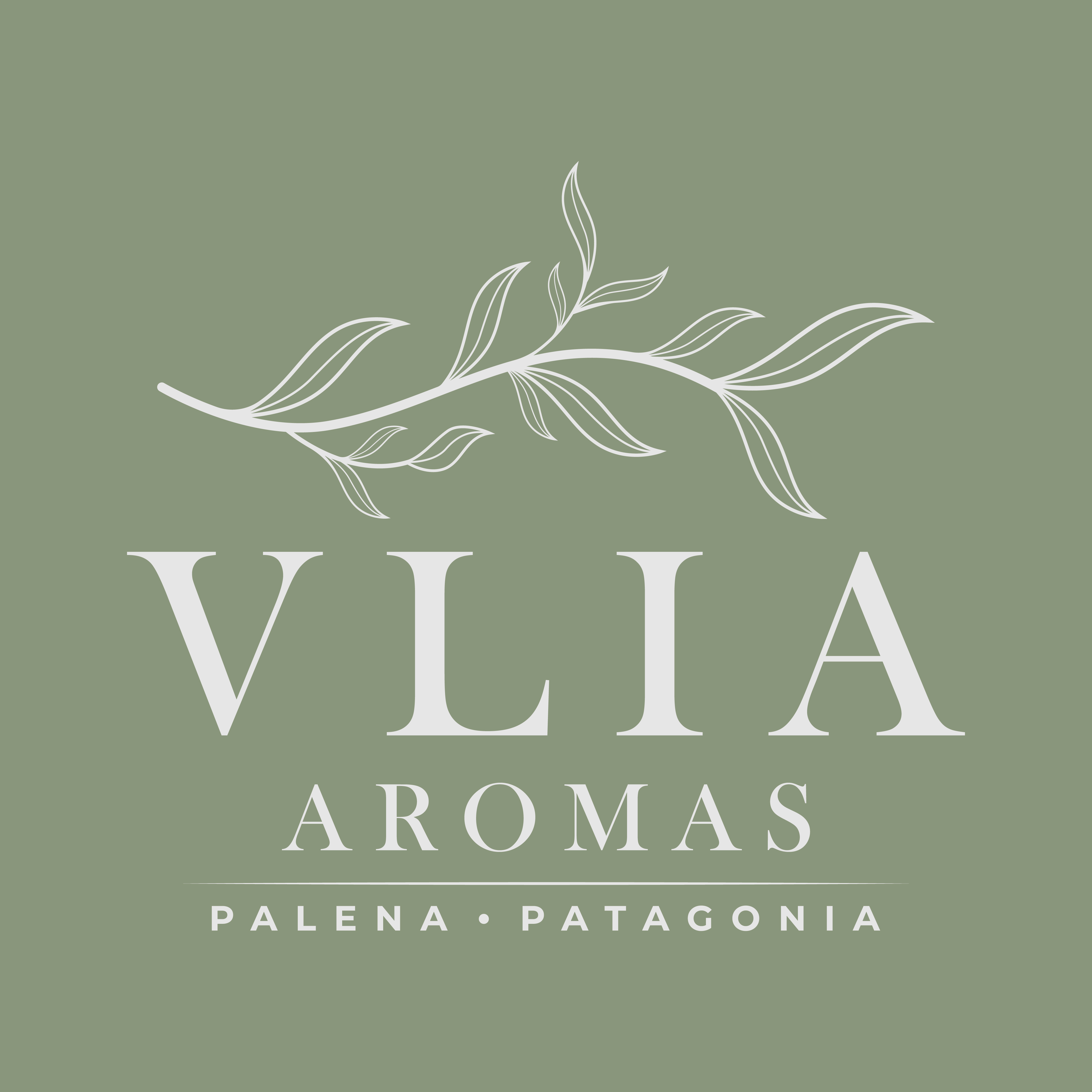 VLIA Aromas
