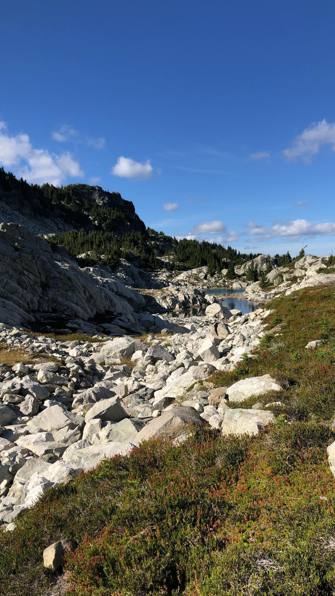 Whistler trails