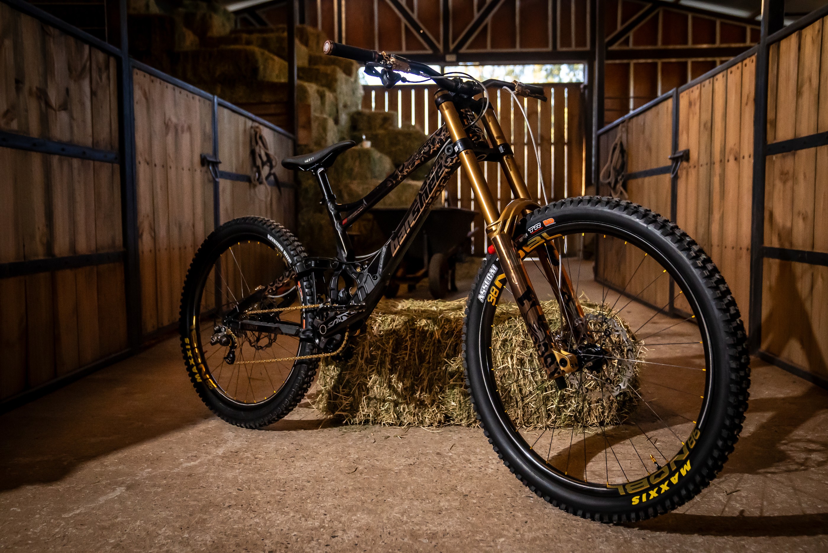 Dream Build 8 Banshee Legend Mullet