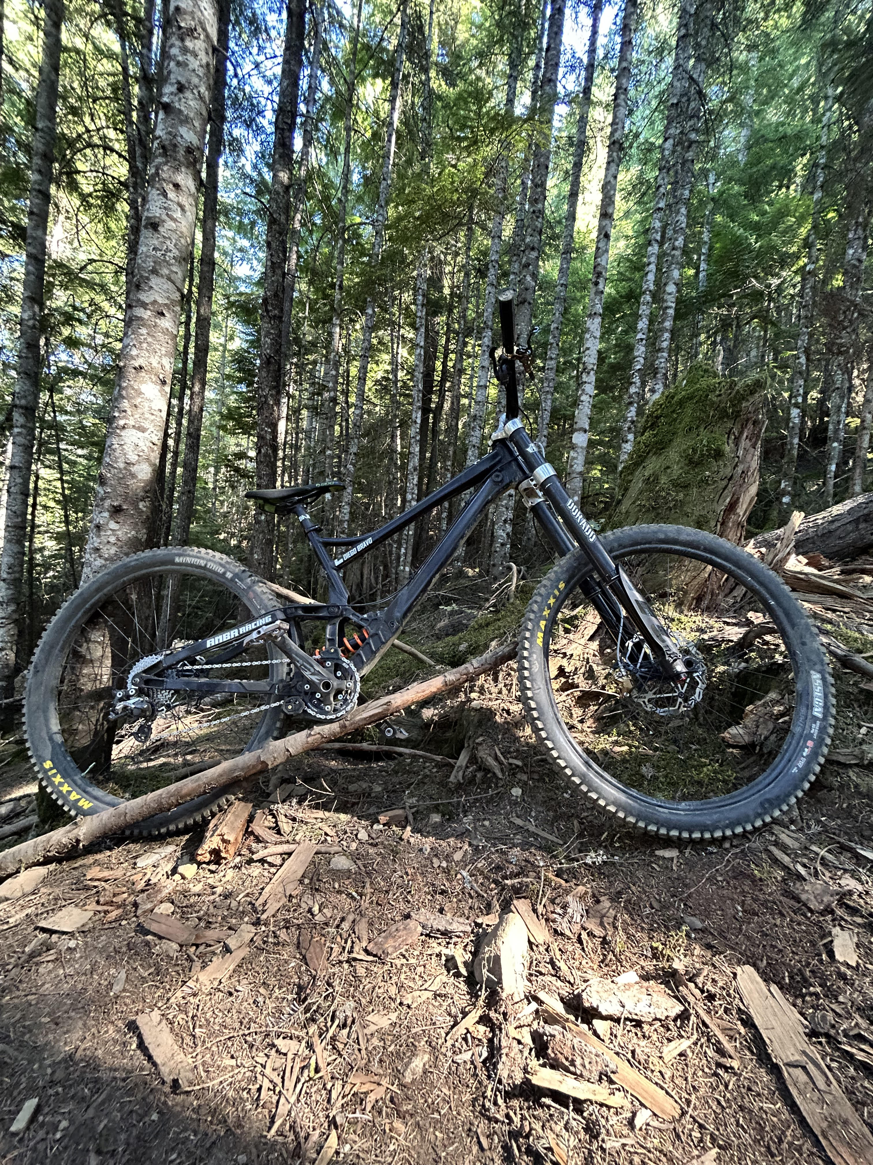 Viaje a Whistler 2024