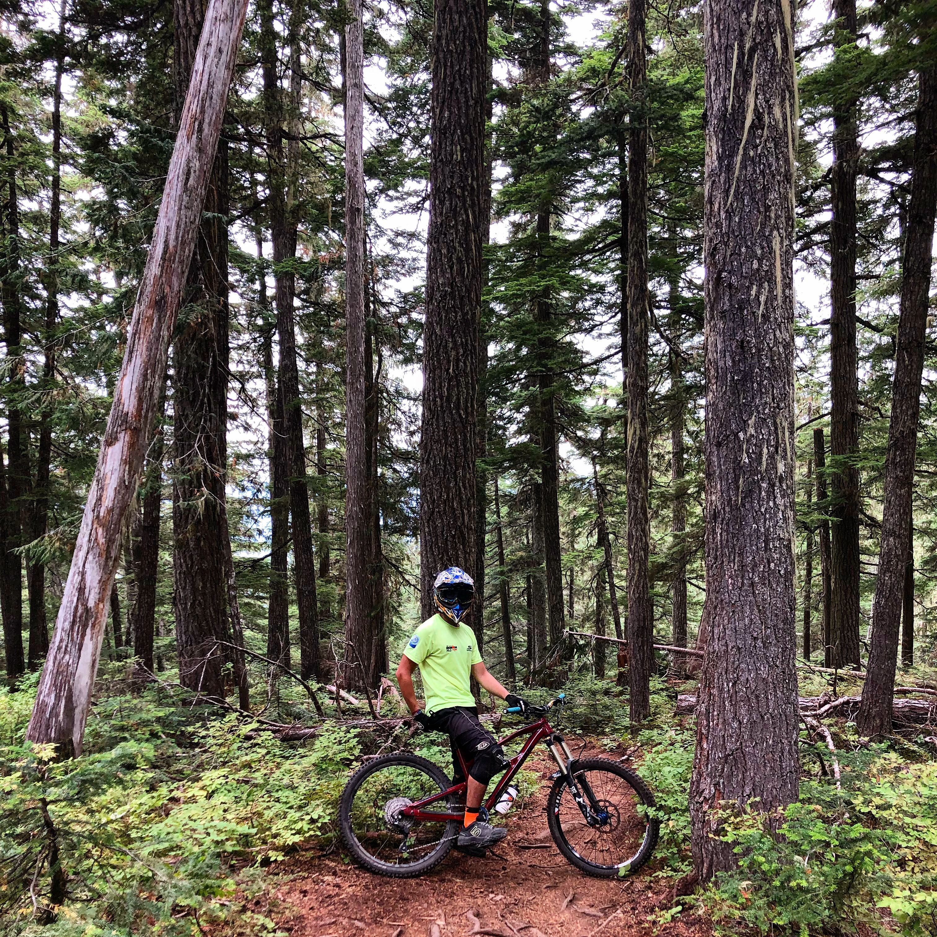 Whistler trails