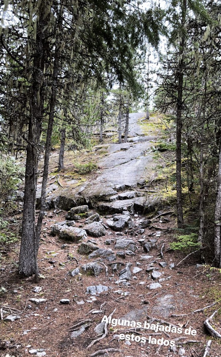 Whistler trails