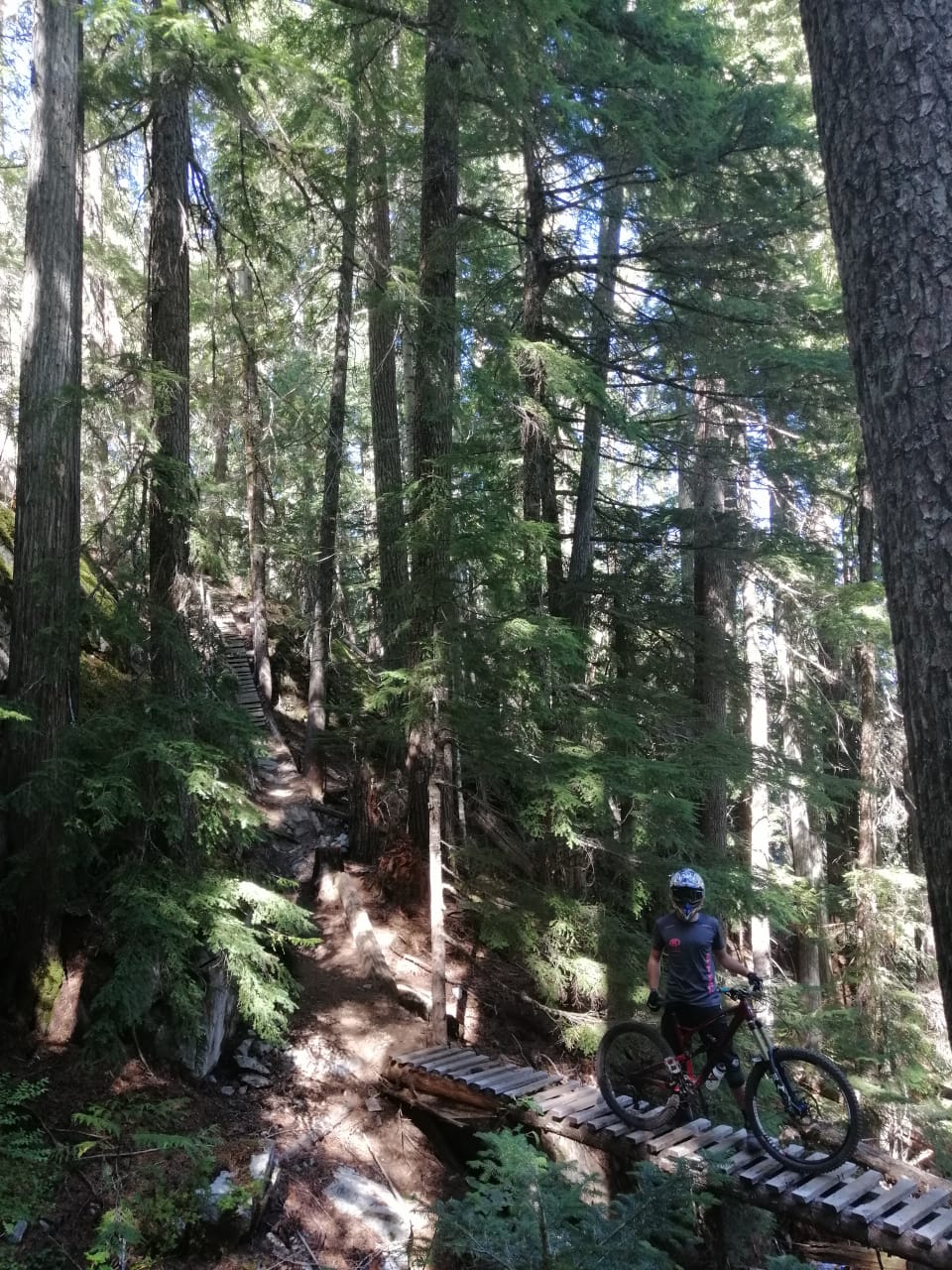 Whistler trails