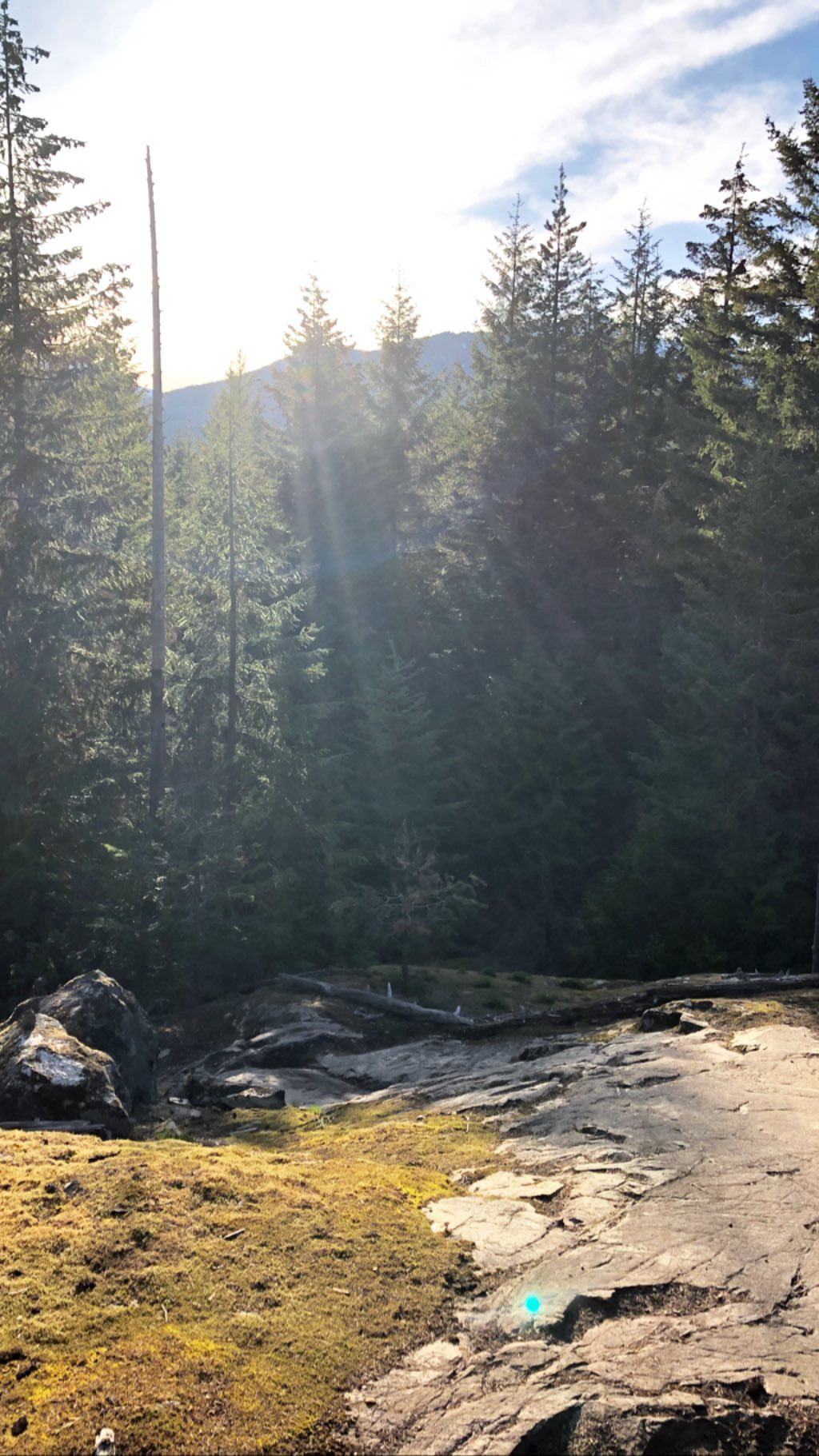 Whistler trails