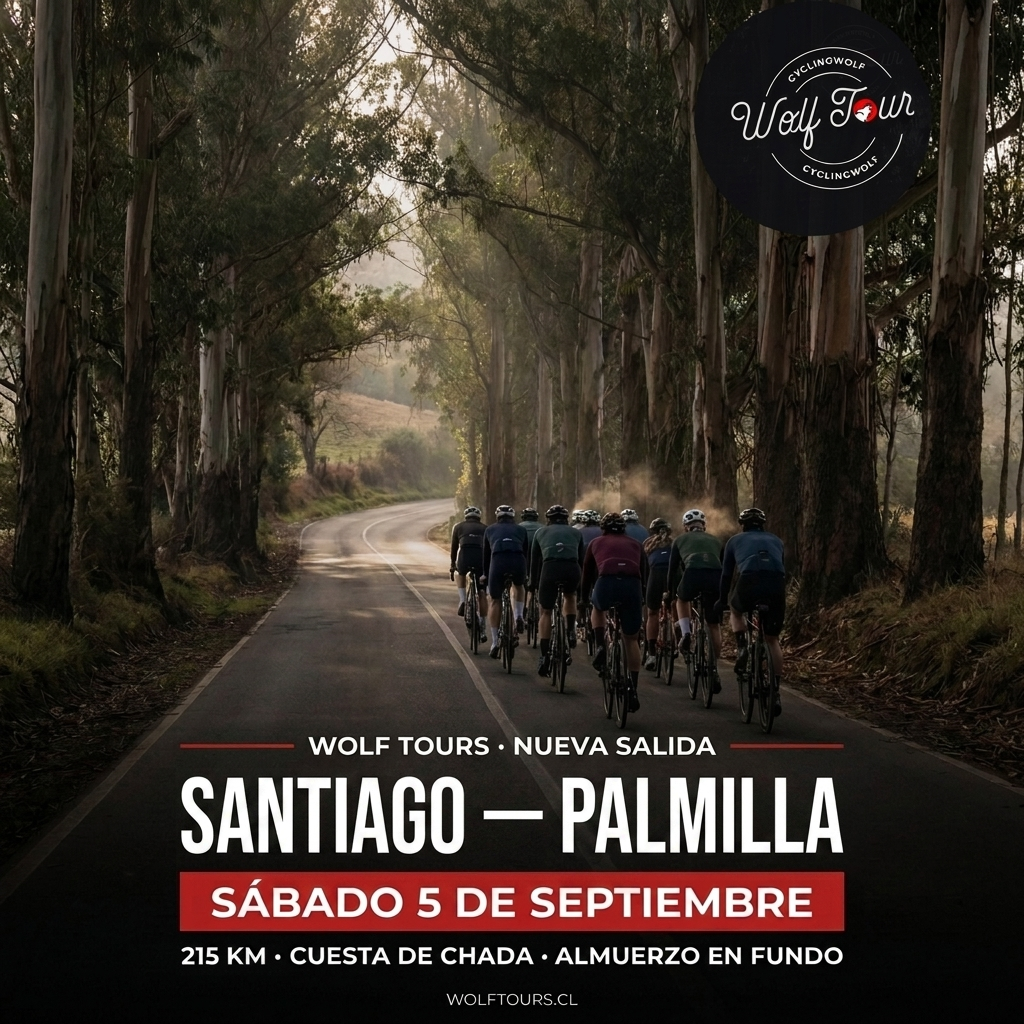 Grupo de ciclistas entre eucaliptos no vale