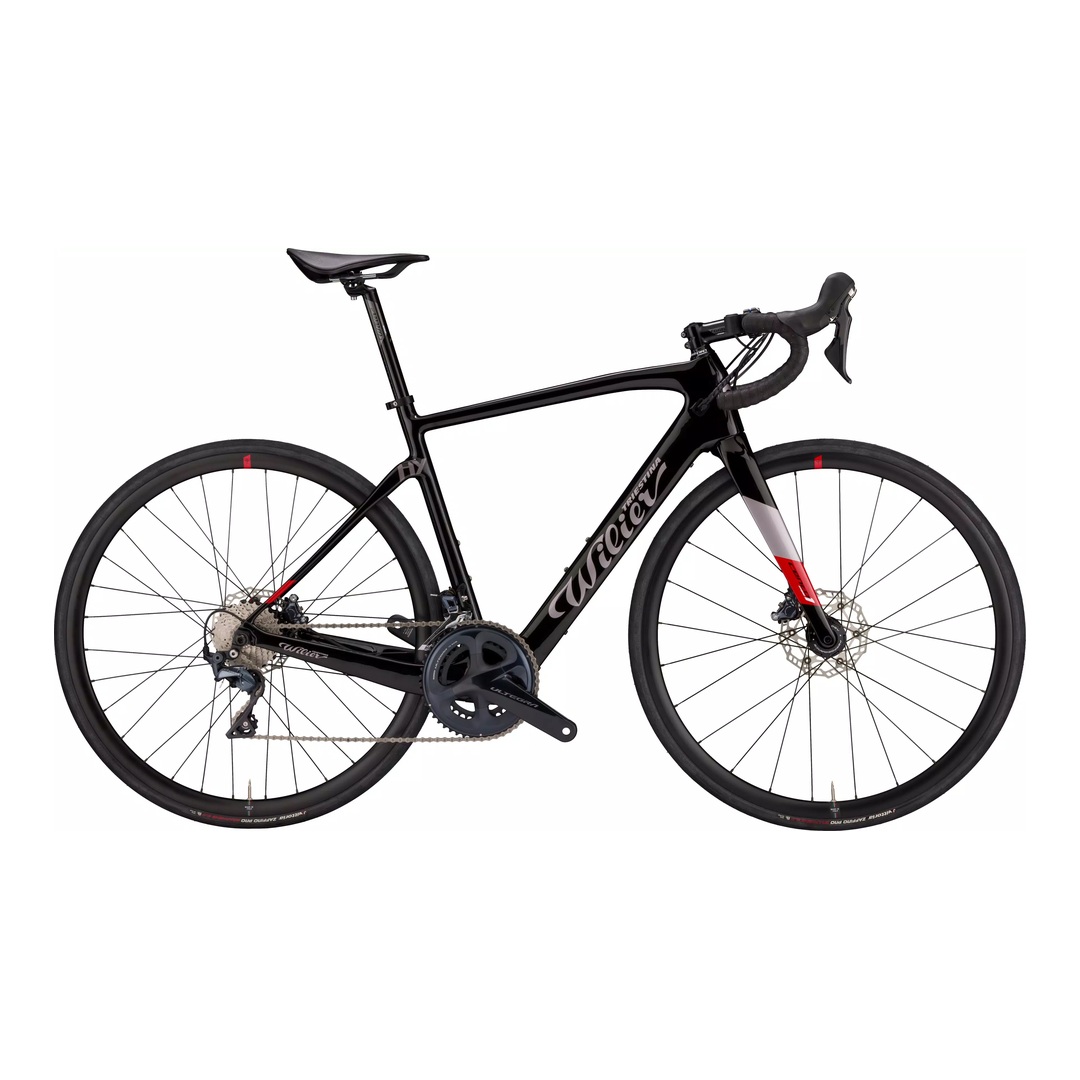 Arriendo bicicleta eléctrica