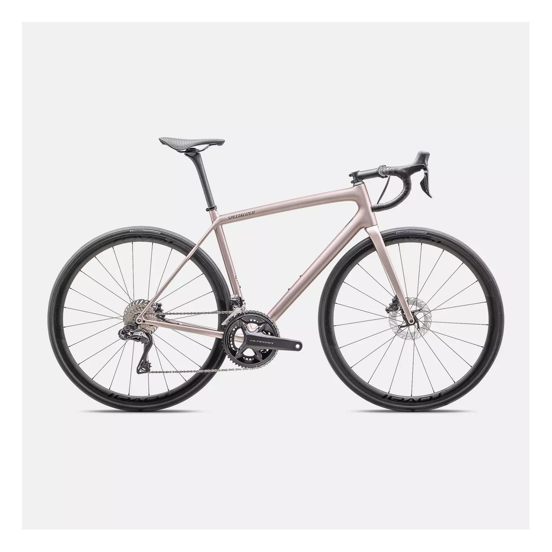 Arriendo bicicleta de ruta